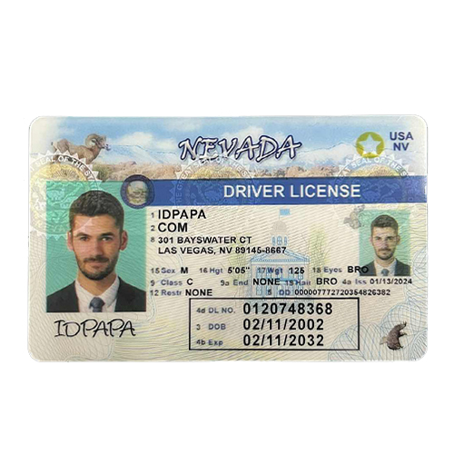 Novelty Nevada driver’s license with the name IDPAPA, showing a male photo, fake address, and humorous personal details